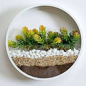 Pebbles to Beautify Wall Terrarium