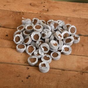 Coir Coin (Netted, 30 mm) (Set of 50)