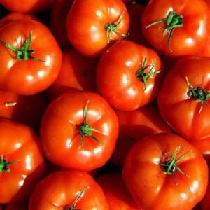 Tomato Marglobe - Organic Vegetable Seeds
