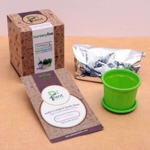 Pleasant Vinca Seeds Garden Kit - Corporate Gift (set of 30)