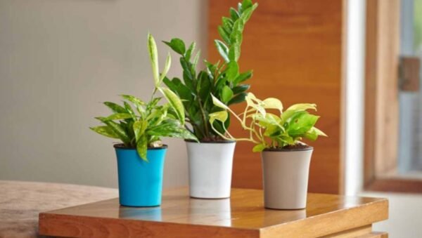 OSLO PLANTERS