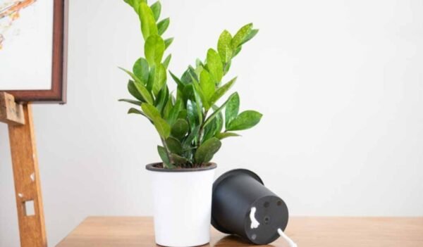 OSLO PLANTERS - Image 2
