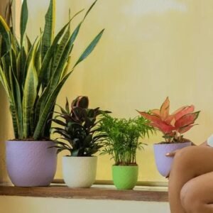 VERONA DIAMOND PLANTERS