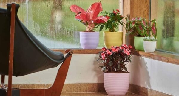 VERONA PLANTERS - Image 2