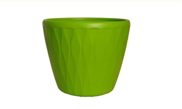 TUNIS PLANTERS - Image 5