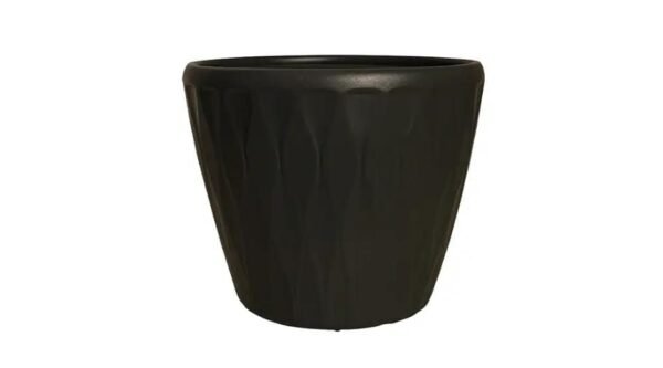 TUNIS PLANTERS - Image 2